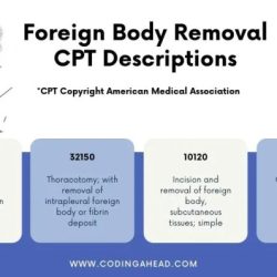 Cpt code for groin exploration