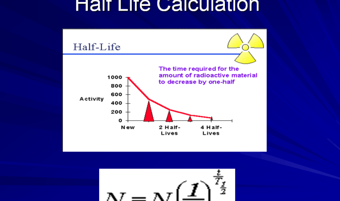 Radioactivity decay kidz calculations