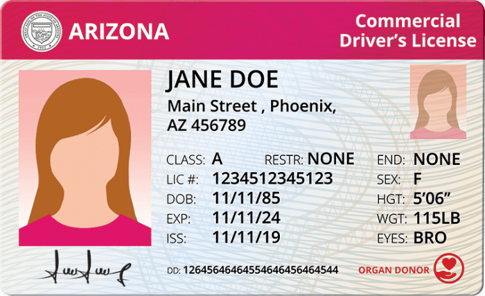 Arizona cdl permit test answers