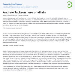 Andrew jackson hero or villain lesson