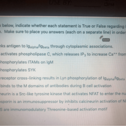 Indicate statement transcribed