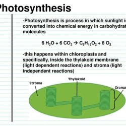 Choose the reaction that represents the combustion of c6h12o2.