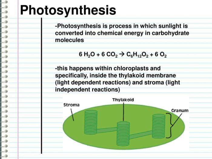 Choose the reaction that represents the combustion of c6h12o2.