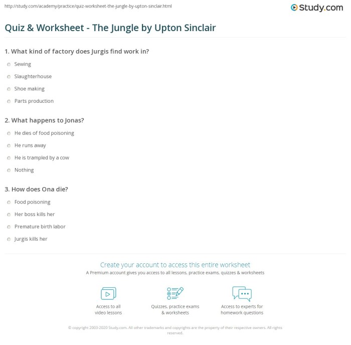 The jungle by upton sinclair worksheet answers